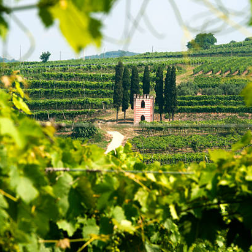 Serenata Red Blend Wine Land of Venice 12X75cl 11%Vol.