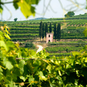 Serenata Red Blend Wine Land of Venice 12X75cl 11%Vol.