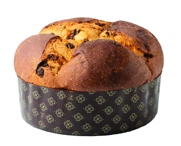 Scarpato Raspberry & Chocolate Royal Panettone 750g in Elegant Cardboard Box