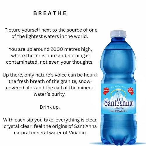 Acqua Sant'Anna Natural Sparkling Mineral Water | 24 X500ML