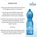 Acqua Sant'Anna Natural Sparkling Mineral Water | 6 X1.5L