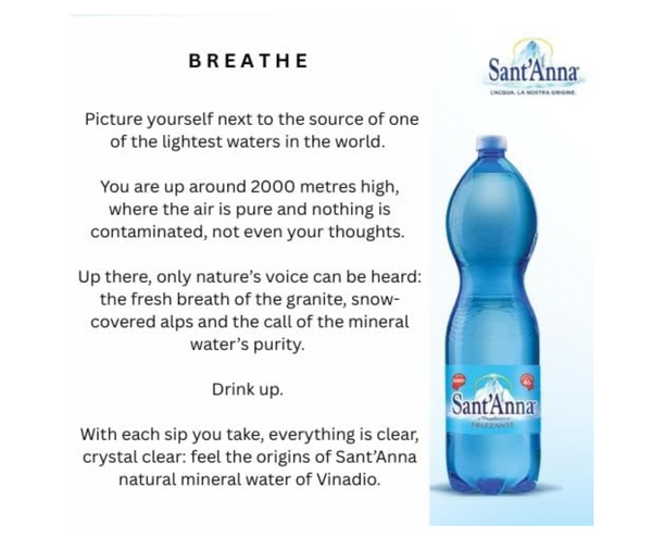 Acqua Sant'Anna Natural Sparkling Mineral Water | 12 X1.5L