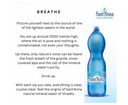 Acqua Sant'Anna Natural Sparkling Mineral Water | 12 X1.5L
